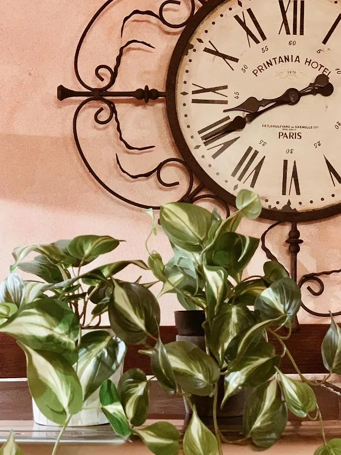 Residenza Tritone Luxury Apartment Trevi Fountain 로마 0*,